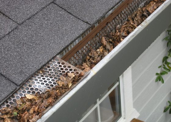Gutter Inspection Gutter Inspection - leaves in gutter